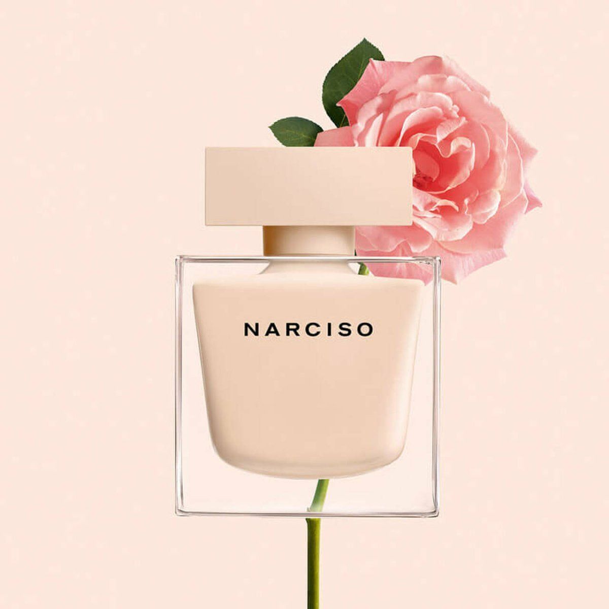 Narciso Rodriguez Poudree EDP 90ML