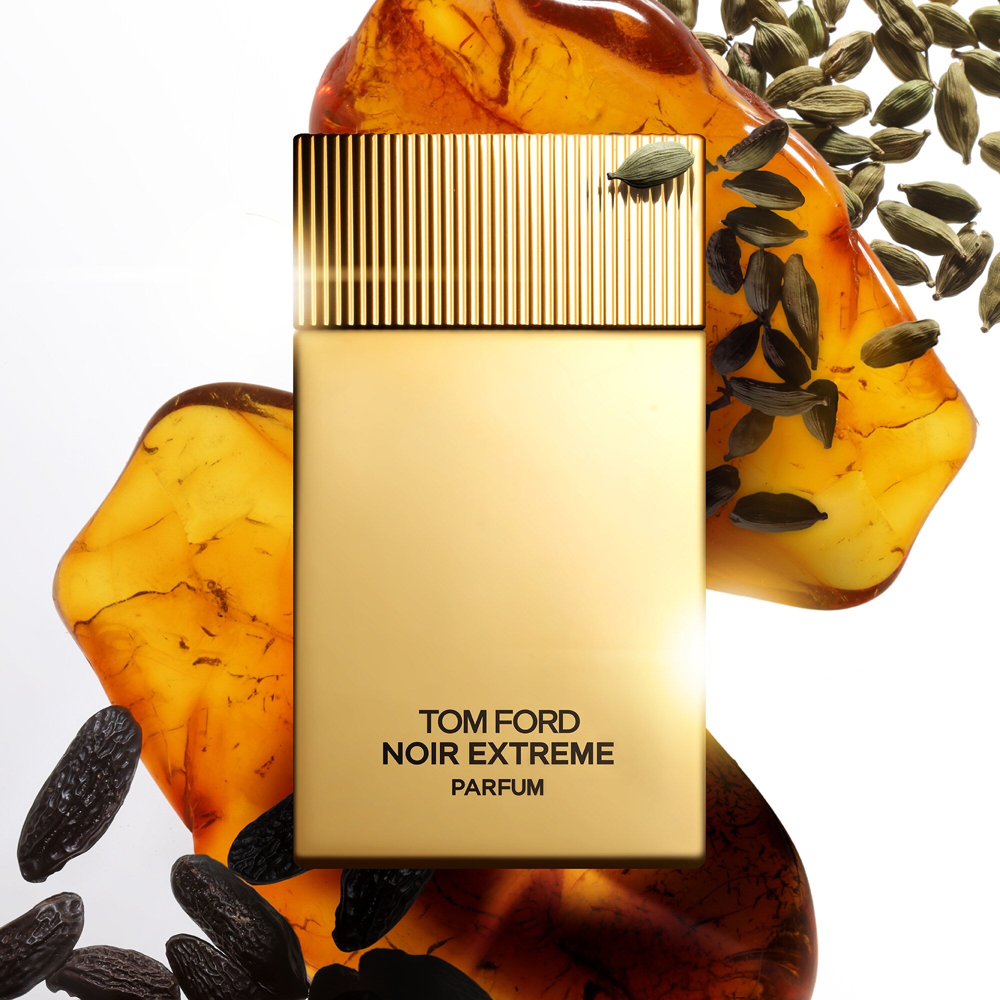 Tom Ford Noir Extreme Parfum 100ML