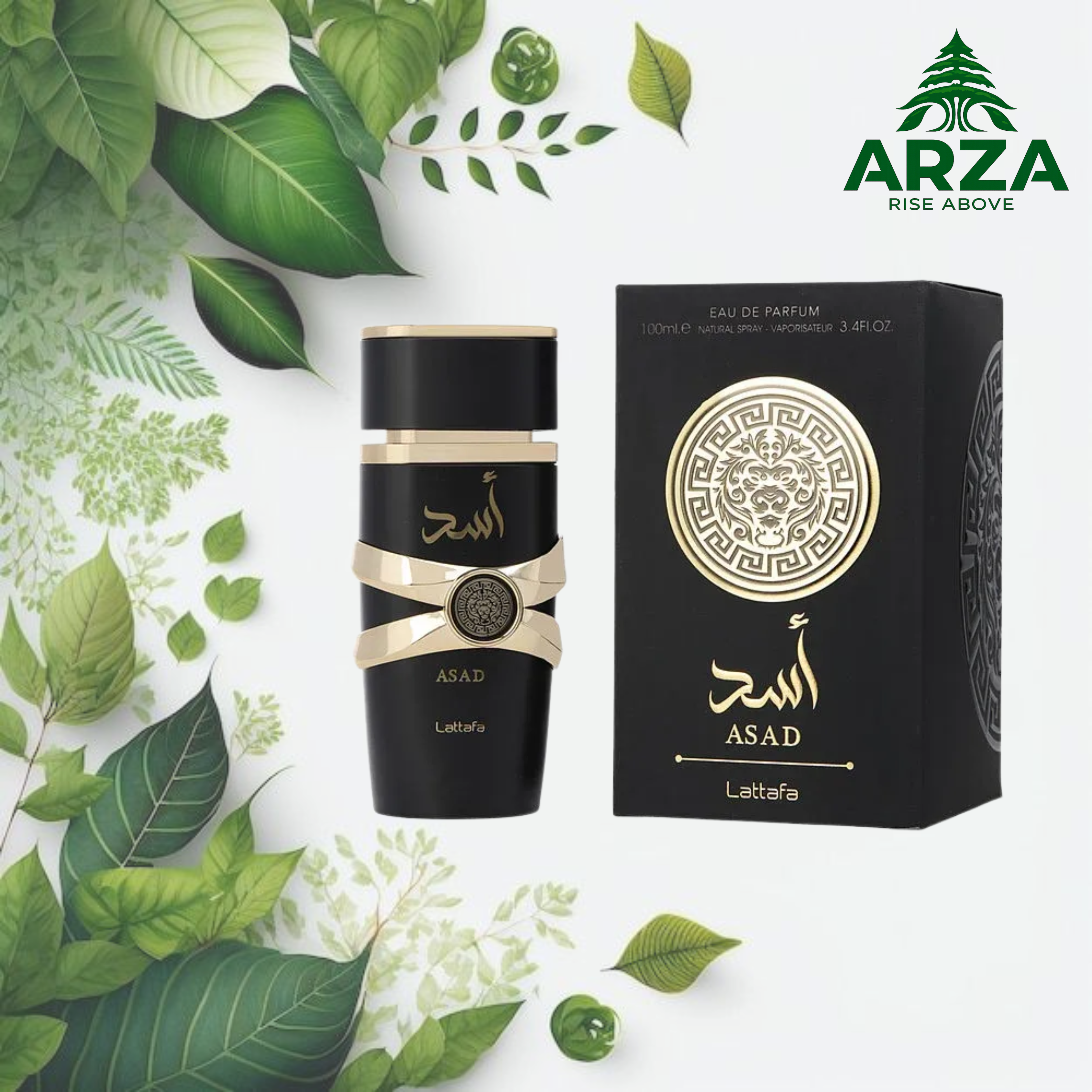 Lattafa Asad for Eau de Parfum 100ML