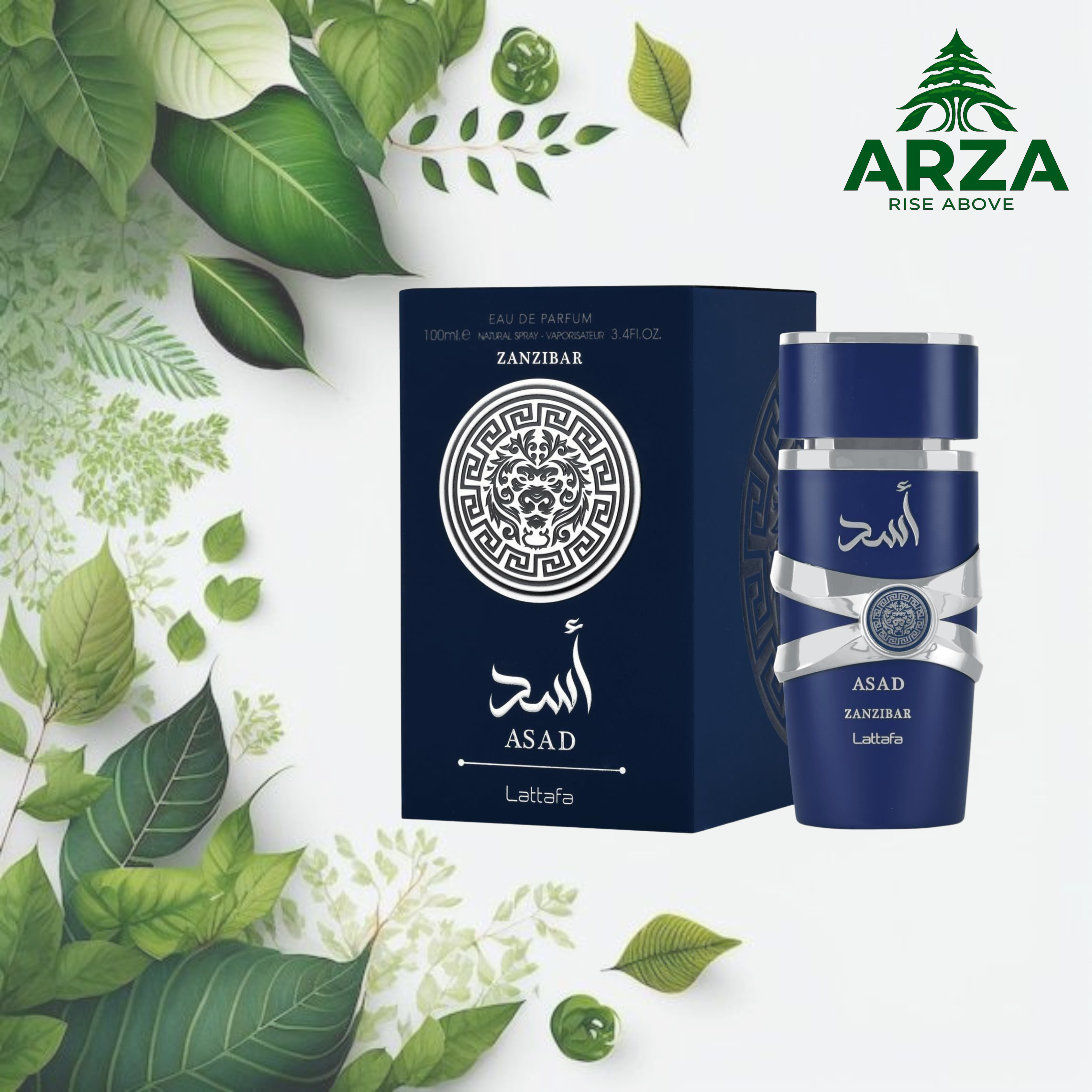 Lattafa Asad Zanzibar 100ML