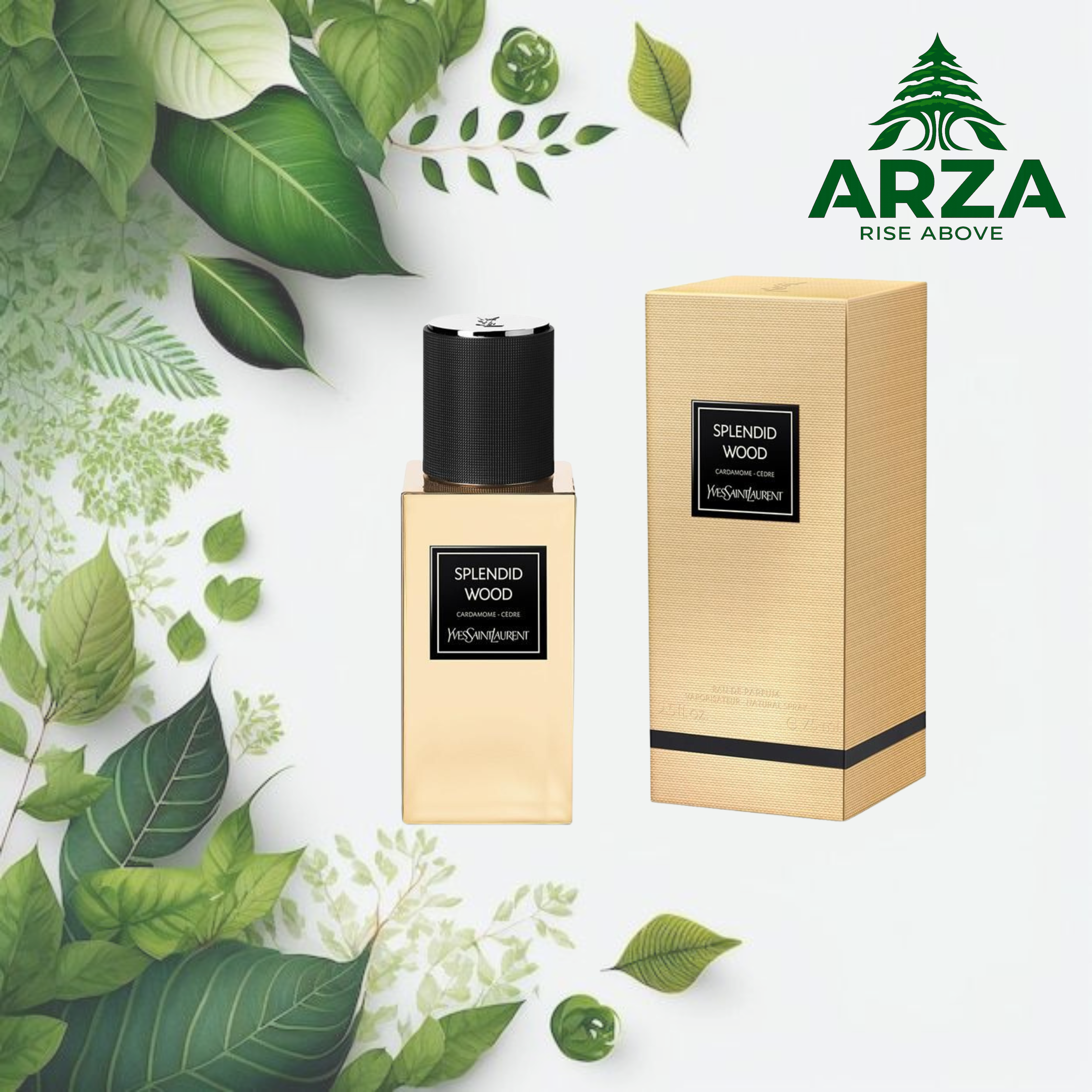 YSL Splendid Wood 125ML