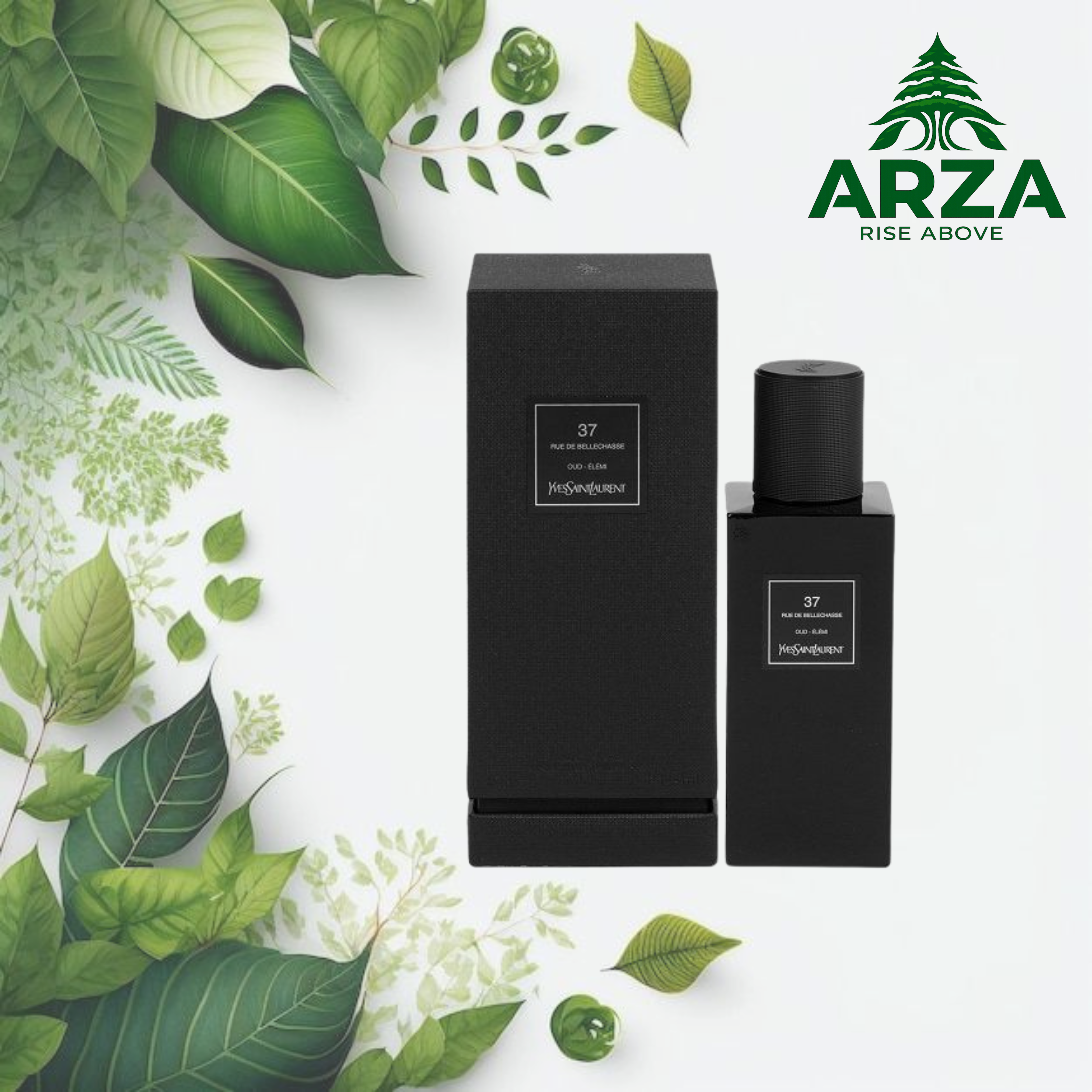 YSL 37 rue de Bellechasse 125ML